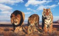 león tigre y leopardo animales
